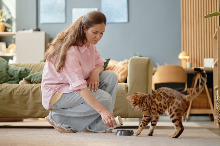 How to Save Money on Pet Care as the Cost of Living Rises